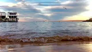 Звуки моря • Шум волн • Звуки пляжа