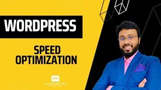 WordPress Speed Optimization By Nitro Pack & Wp-Rocket