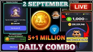 2 September Hamster Kombat Daily Combo Cards | Hamster Kombat Daily Combo Cards 2 September | Combo