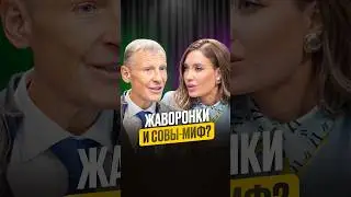 Жаворонки и совы - миф? 