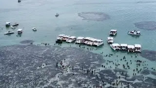 Maragogi AL, Piscinas Naturais
