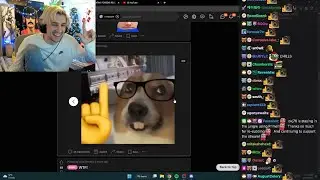 xQc becomes a Nerd caughting an earthquake and how he turned into a Monkey
