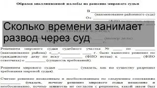 Сколько времени занимает развод через суд
