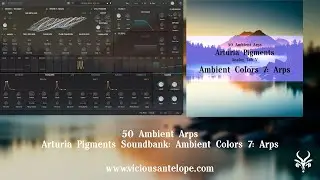 Arturia Pigments Library | Vicious Antelope - Ambient Colors 7: Arps