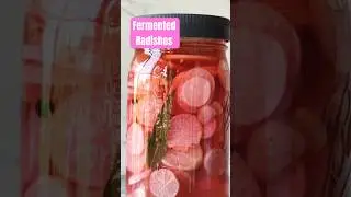 This is the only way I will eat radishes #fermentation