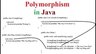 Polymorphism in Java | Method Overloading & Overriding in Java | Java Tutorial | PixelTrice