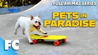 Pets In Paradise (5/26) | Season 1 Episode 5: Skateboarding Dog | Full Animal TV Show | FC