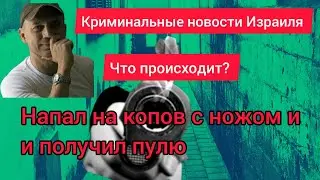 НАПАЛ НА ПОЛИЦЕЙСКИХ С НОЖОМ/ В каких случаях полиция Израиля применяет оружие/ Лев Дубинский