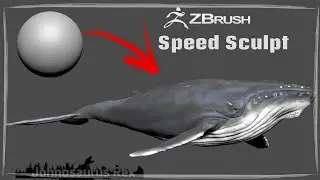 Zbrush Speed sculpt - Humpback Whale 