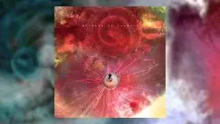 ANIMALS AS LEADERS - Ka$cade