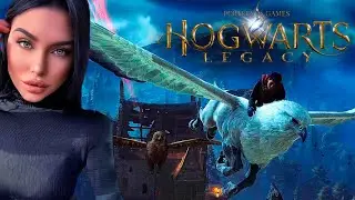 Hogwarts Legacy ➤ Помощь Гиппогрифам (Серия 10)