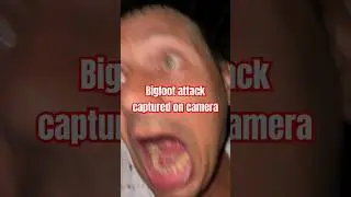 Bigfoot attack captured on camera