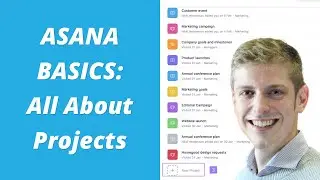 ASANA BASICS: All About Projects (Project Management Software)