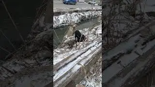 Холод ни что инстинкт решает.