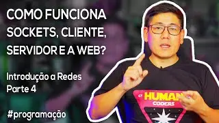 Como Funciona Sockets, Cliente, Servidor e a Web? | Introdução a Redes Parte 4