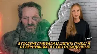 В Госдуме призвали защищать общество от вернувшихся с СВО осужденных