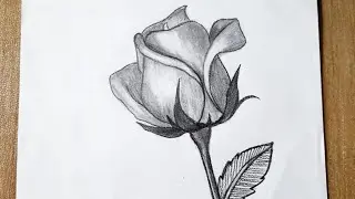 How to draw a rose easy tutorial for beginners || Rose drawing