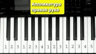 Как играть гамму ДО МАЖОР? Аппликатура