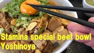 Stamina  special beef bowl with raw egg. Yoshinoya is food shop famous for beef bowl 