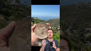 Olympic Bronze Medals Are Degrading