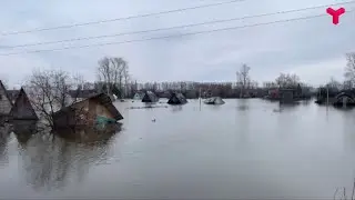 Как повлияет паводок на урожай в огороде?