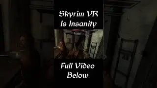 Skyrim VR is Absolute Insanity