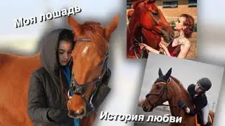 Моя лошадь | PANOCHKA