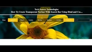 Transparent Navbar With Search Bar In Html Css | Navbar With Search Bar Transparent Background Html