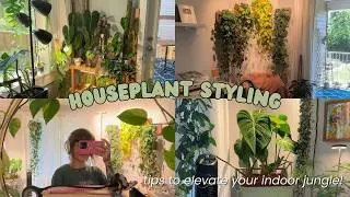 my fave ways to style houseplants 🌿🏡 cozy indoor jungle vibes!