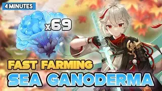 Sea Ganoderma: Quick Farming Locations and Fast Route! | Genshin Impact