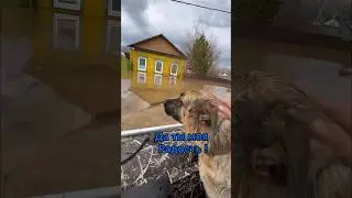 Орск затопило ( наводнение )￼￼