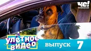 Улетное видео | Выпуск 7