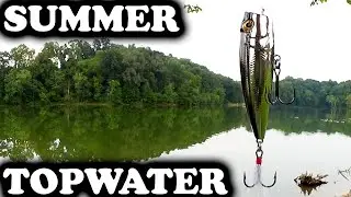 Realistic Bass Fishing with Topwater Lures! Best Time To Catch Bass