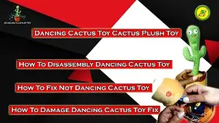 Dancing Cactus Toy | How To Disassembly Dancing Cactus Toy | How To Damage Dancing Cactus Toy Fix