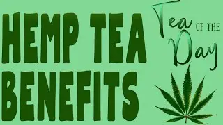 BENEFITS of HEMP TEA - What is hemp tea like?