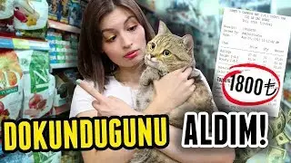 KEDİMİN DOKUNDUĞU HER ŞEYİ ALDIM!!!