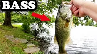 Realistic Fishing with a Texas Rig! Summer Bass Fishing from the Bank