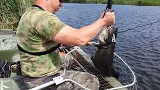 Рыбалка. В самом сердце  Волги. Лодка Omega River Boat.