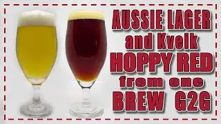 TWO very different BEERS from ONE Batch - Grain to Glass - Aussie Lager - Hoppy Red - Brewzilla