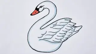 Как НАРИСОВАТЬ ПРЕКРАСНОГО ЛЕБЕДЯ/How to DRAW A BEAUTIFUL SWAN