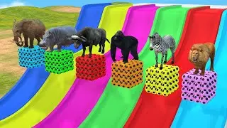 Long Slide Game With Tiger Elephant Cow Rhino Deer - 3d Animal Game - Wild Animal.