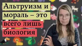 Откуда взялись наши чисто человеческие качества / Как избавиться от тошноты беременных