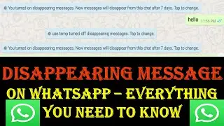 Disappearing Messages on WhatsApp | New Messages Will Disappear From This Chat After 7 Days? - What?