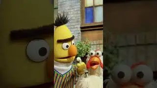 What is Bert listening to? 