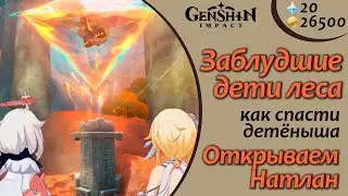 Заблудшие дети леса | Разбейте камни и спасите детеныша | Натлан 5.0 | Genshin Impact #natlan