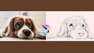 Turn any photograph into a pencil sketch using Krita