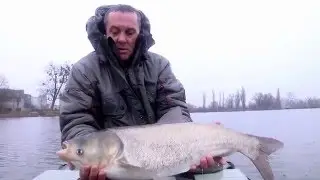 Джиговая ловля толстолоба осенью на реке Стугна. Рыбалка в Украине