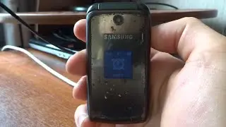 Samsung M310 ringing alarm