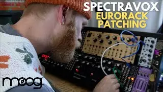 Moog Spectravox | Patching & Review (Part 3)