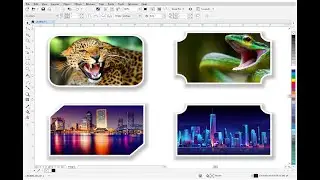 How to use PowerClip in Corel Draw | How to Crop Photo | How to insert image in shape in coreldraw